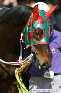 Obrazek